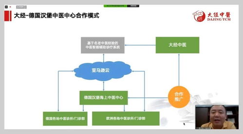 大经中医点亮“一带一路” 中医药服务贸易与企业技术服务共构合作新范式